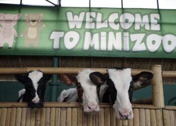 Mini Zoo, Jadi Tempat Favorit Tamu Hotel Grand Tjokro Bandung