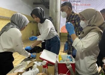 DKPP Gelar Gerakan Pangan Murah dan Layanan Vaksin Rabies Gratis