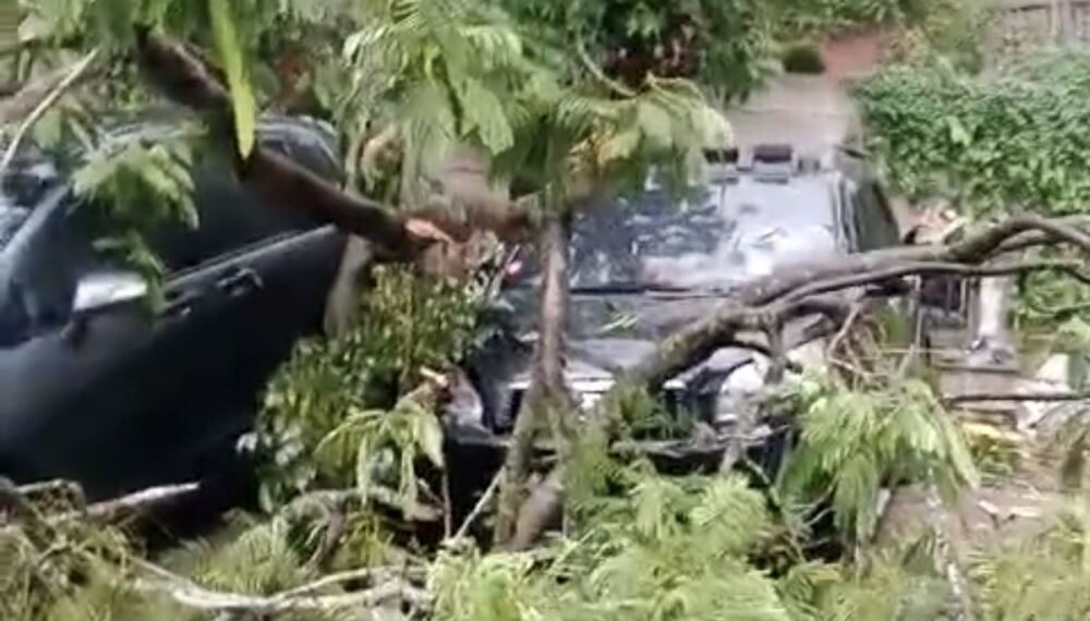 Hujan Angin, Pohon Tumbang Timpa Tiga Mobil di The Nice Garden Sepong