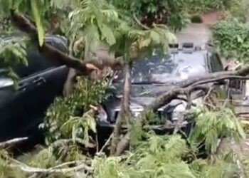 Hujan Angin, Pohon Tumbang Timpa Tiga Mobil di The Nice Garden Sepong