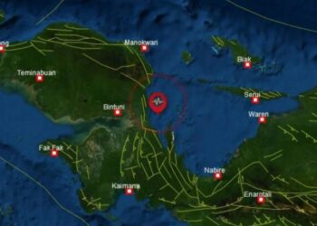 Gempa Magnitudo 3,1 Guncang Manokwari Selatan Papua