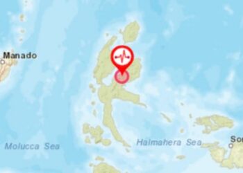 Gempa Magnitudo 4,5 Guncang Halmahera Timur Maluku Utara