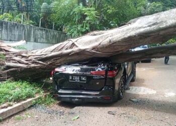 Fortuner ringsek Parah Tertimpa Pohon di Jalan Sriwijaya Jaksel