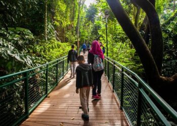 Nyaman Dikunjungi Malam Hari Hutan Kota Baksil Tambah Lampu Penerangan