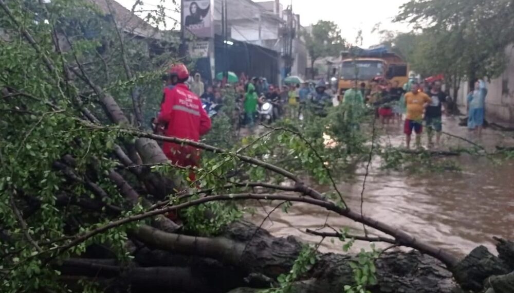 Amukan Angin Kencang Terjang Majalaya, Atap Beterbangan dan Pohon Tumbang