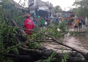 Amukan Angin Kencang Terjang Majalaya, Atap Beterbangan dan Pohon Tumbang