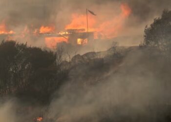 Korban Tewas Kebakaran Hutan di Chile Telah Capai 64 Orang