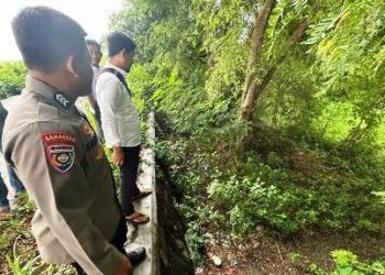 Tangisan Bayi di Semak Belukar Gegerkan Warga Ciruas Serang