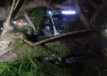 Pohon di Jln Maribaya Lembang Tumbang Timpa Pikap dan Kios