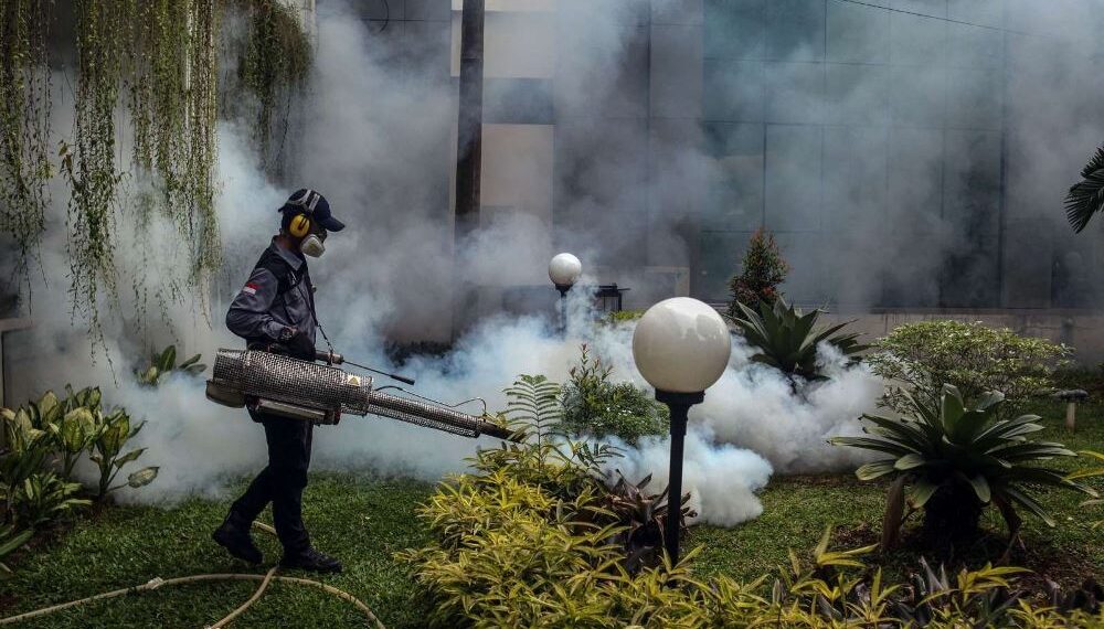 Bocah 5 Tahun di Kota Cimahi Meninggal Dunia Akibat DBD