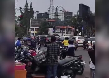 Kawanan Monyet Nyeberang di Simpang Dago Jadi Tontonan Warga