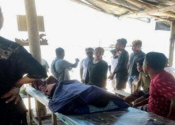 Kelelahan, wisatawan asal Cina Meninggal di Long Pink Beach TN Komodo