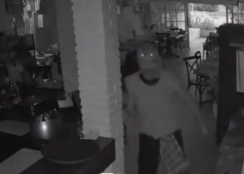 Viral, Bule Rusak Restoran di Seminyak diduga Pakai Kapak