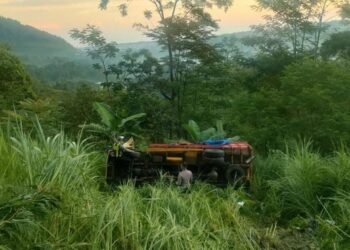 2 Orang Tewas, Truk Bawa Grup Kesenian Terjun ke Jurang di Pasuruan