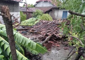236 Rumah-Masjid Rusak Pasca Sapuan Puting Beliung di Tegal