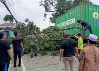 Truk Kontainer Hantam Pohon Lalu Menimpa Mobil di Bogor