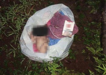 Jasad Bayi Terbungkus Plastik ditemukan di Pinggir Jalan Desa