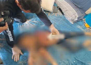 Bocah 5 tahun Tewas Dibunuh Ibu Kandung dengan 20 Luka Tusukan