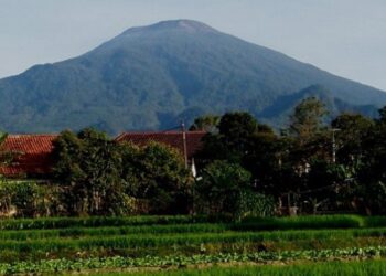 Pulihkan Ekosistem, Pendakian ke Gunung Ciremai Sementara Ditutup