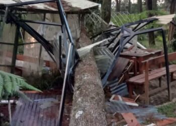 Pohon Tumbang, Objek Wisata alam di Cikole Lembang Ditutup