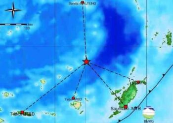 Gempa Magnitudo 4,4 Guncang Maluku Tenggara Barat