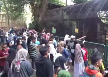 Libur Lebaran, Bandung Zoo Diserbu Ribuan Pengunjung