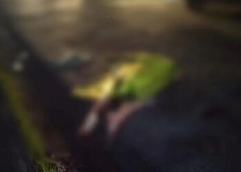 Pengendara Tewas di Jln Raya Saketi-Pandeglang usai Tabrak Pembatas