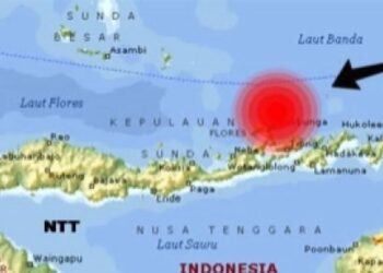 Gempa Magnitudo 3,3 Guncang Kabupaten Lembata NTT