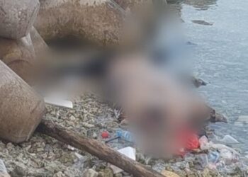 Polisi Lidik Penyebab Kematian Wanita ‘Open BO’ Ditemukan di Pulau Pari